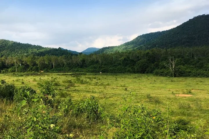 Una vista amplia de un paisaje verde con montañas al fondo